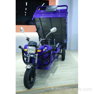 Tricycle de transport Hongqi Hongqi Tricycle électrique